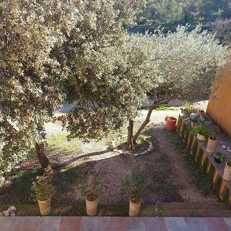 Chambre Cosy Nimes Bagian luar foto