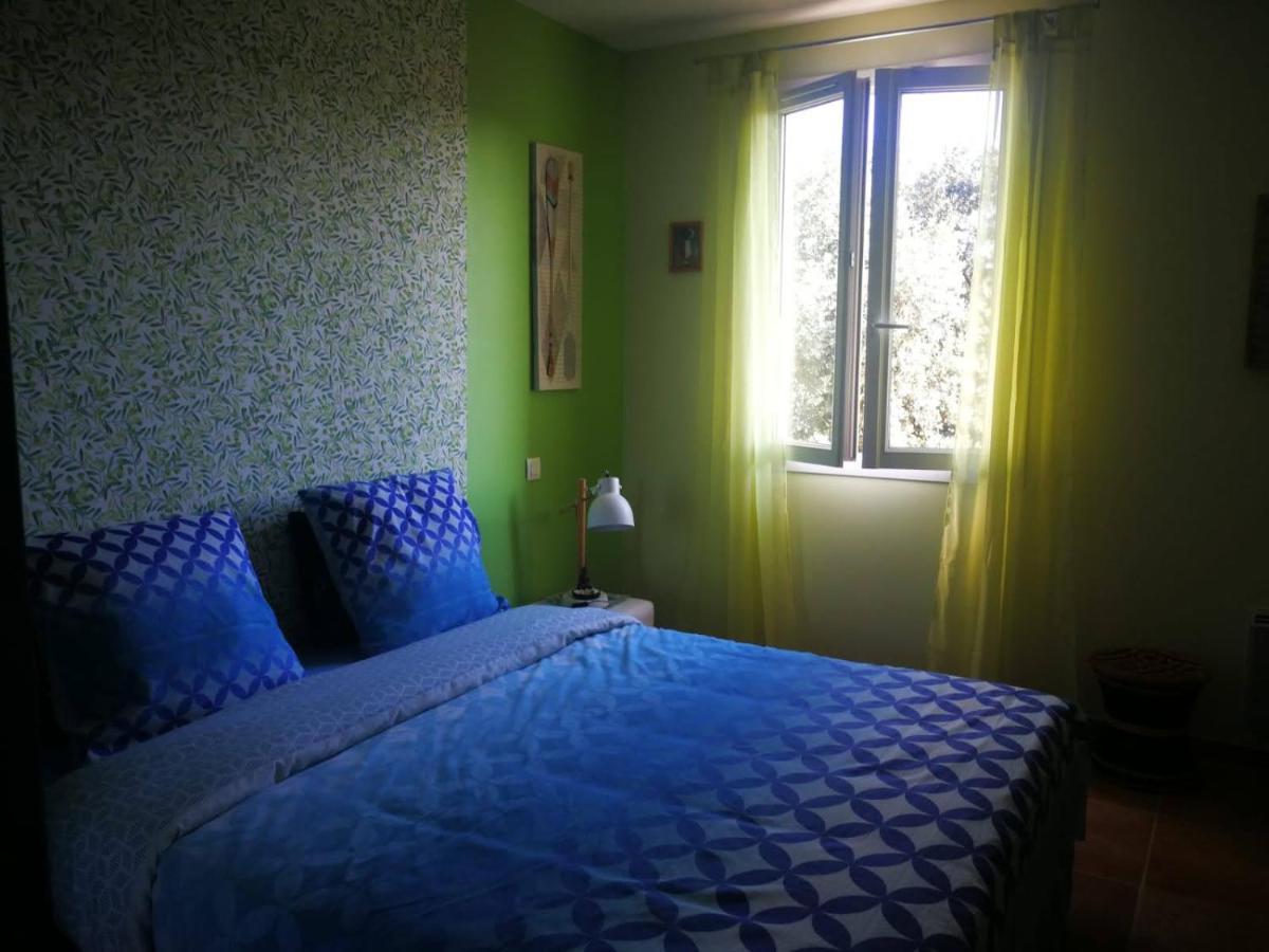 Chambre Cosy Nimes Bagian luar foto